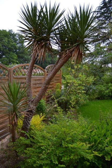 Bed and Breakfast Le Logis De Saint-Martin Haute-Goulaine Esterno foto
